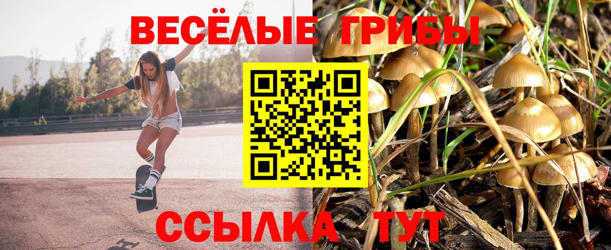 хочу наркоту  Вход с VPN  Барнаул  Галлюциногенные грибы GOLDEN TEACHER 