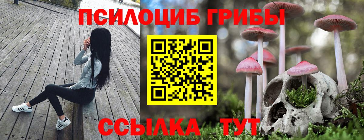 Галлюциногенные грибы MAGIC MUSHROOMS Барнаул